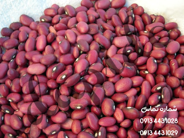 بررسی کیفیت لوبیا قرمز ایرانی