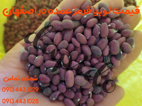 قیمت لوبیا قرمز عمده در اصفهان + خرید و فروش