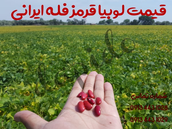 قیمت لوبیا قرمز فله ایرانی