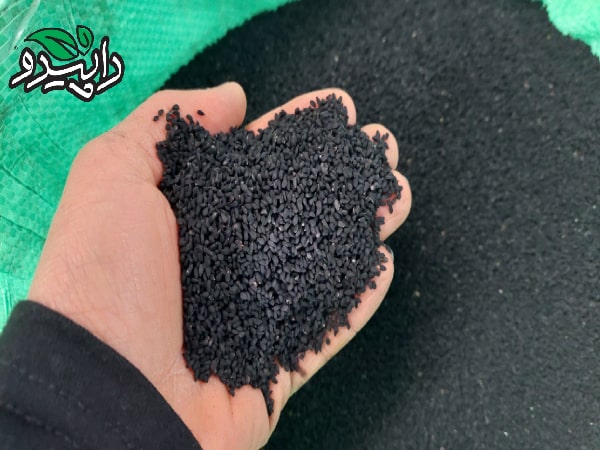 قیمت سیاه دانه اصفهان در عمده فروشی + خرید